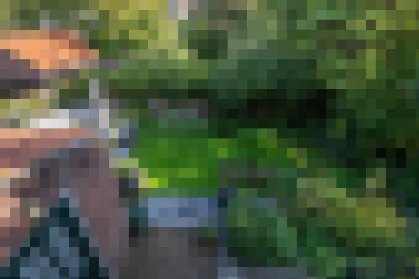 Hobbemastraat 47 Middelharnis thumbnail 38