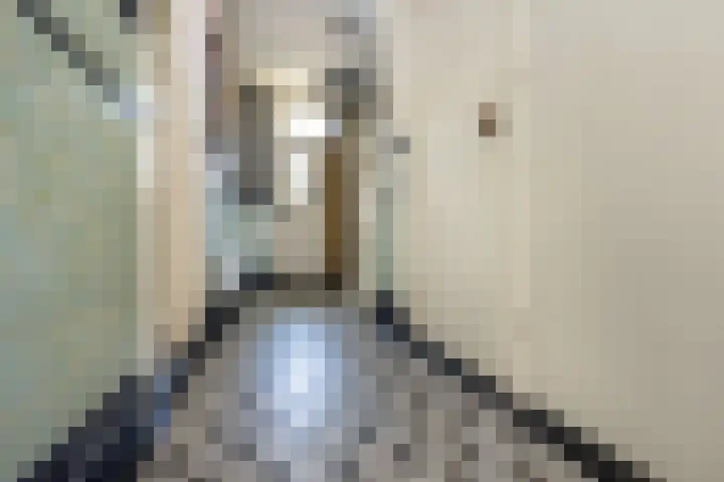Hobbemastraat 47 Middelharnis thumbnail 7
