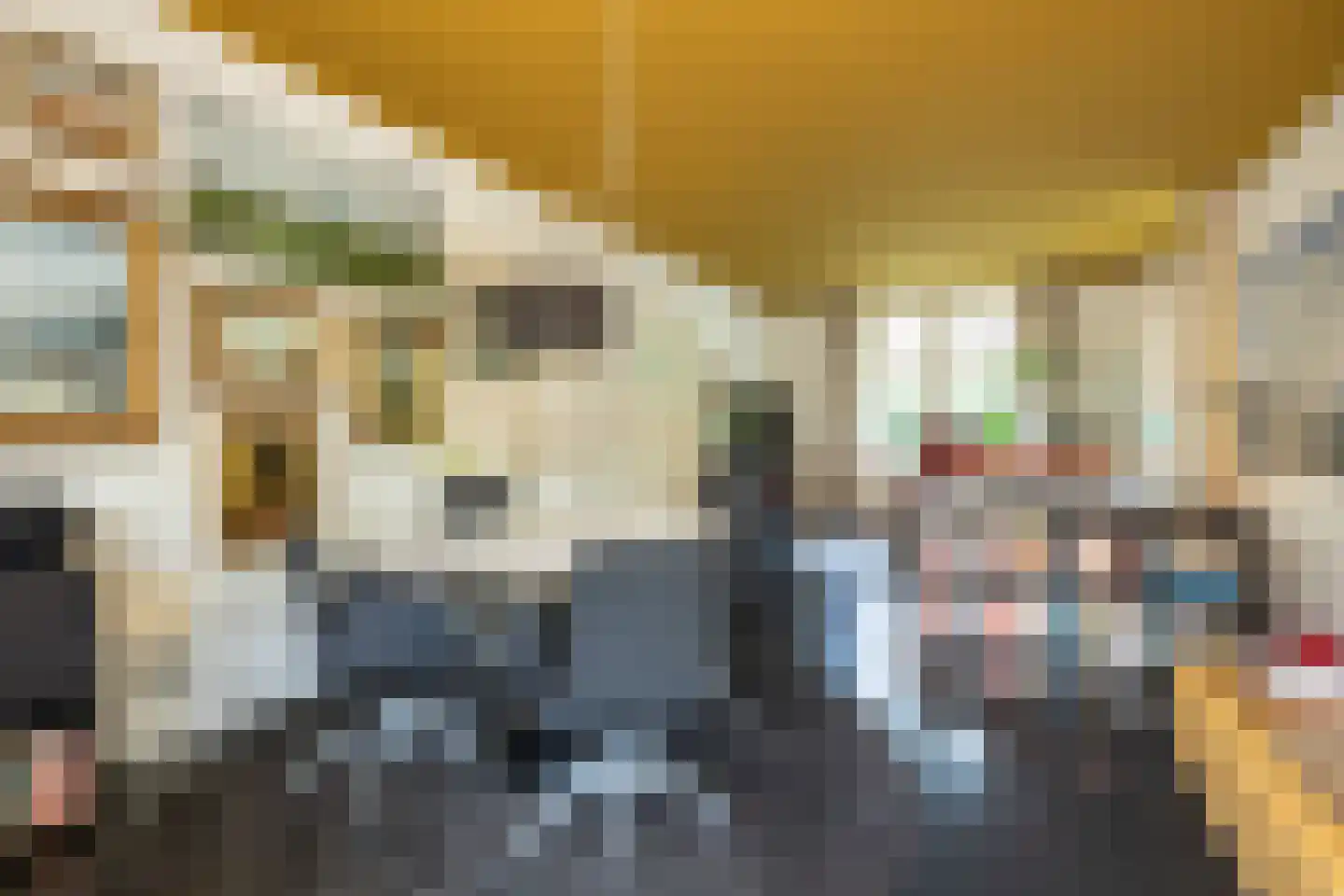 Hobbemastraat 47 Middelharnis thumbnail 8