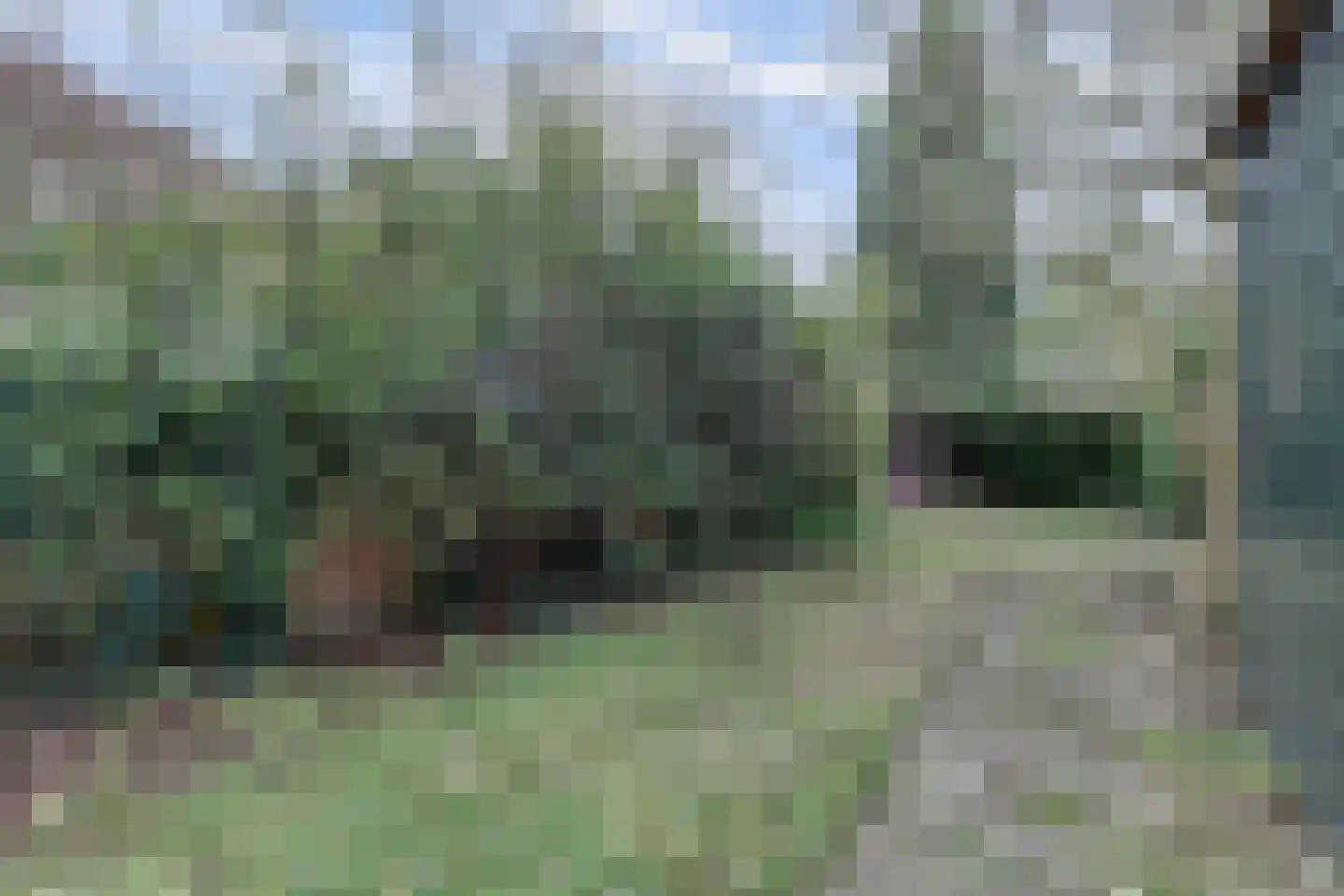 Hobbemastraat 5 Nijmegen thumbnail 21