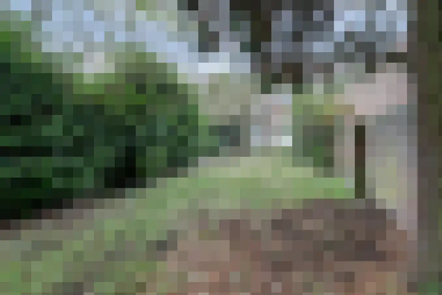 Hobbemastraat 5 Nijmegen thumbnail 23
