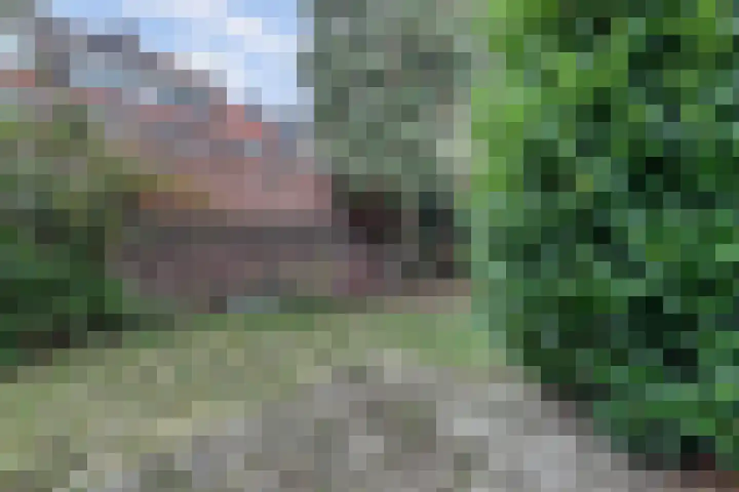 Hobbemastraat 5 Nijmegen thumbnail 26