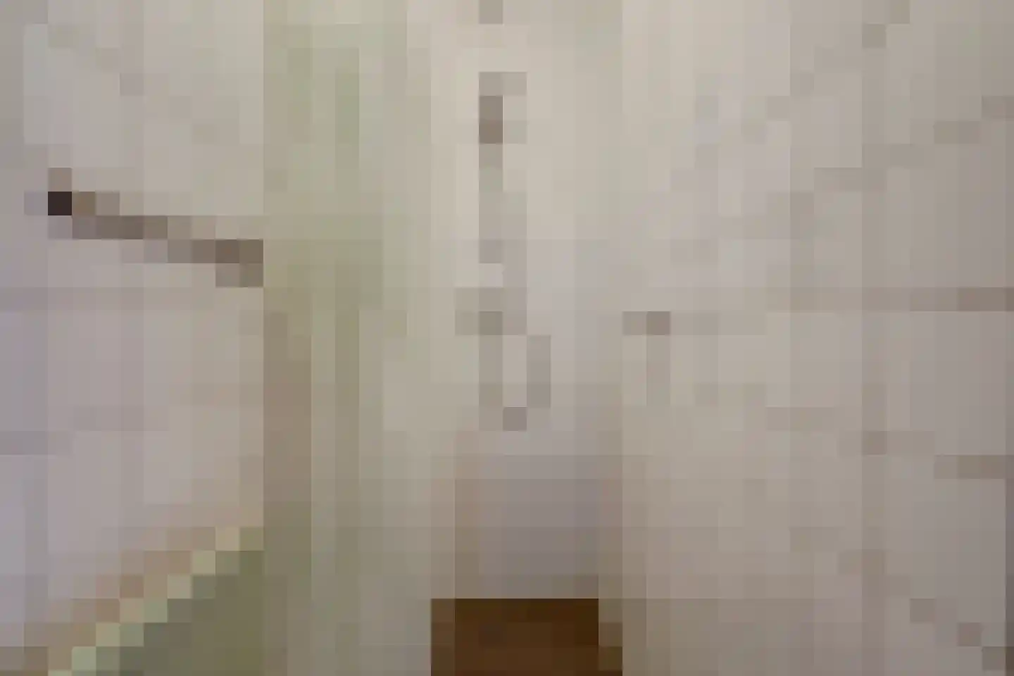Hobbemastraat 5 Nijmegen thumbnail 37
