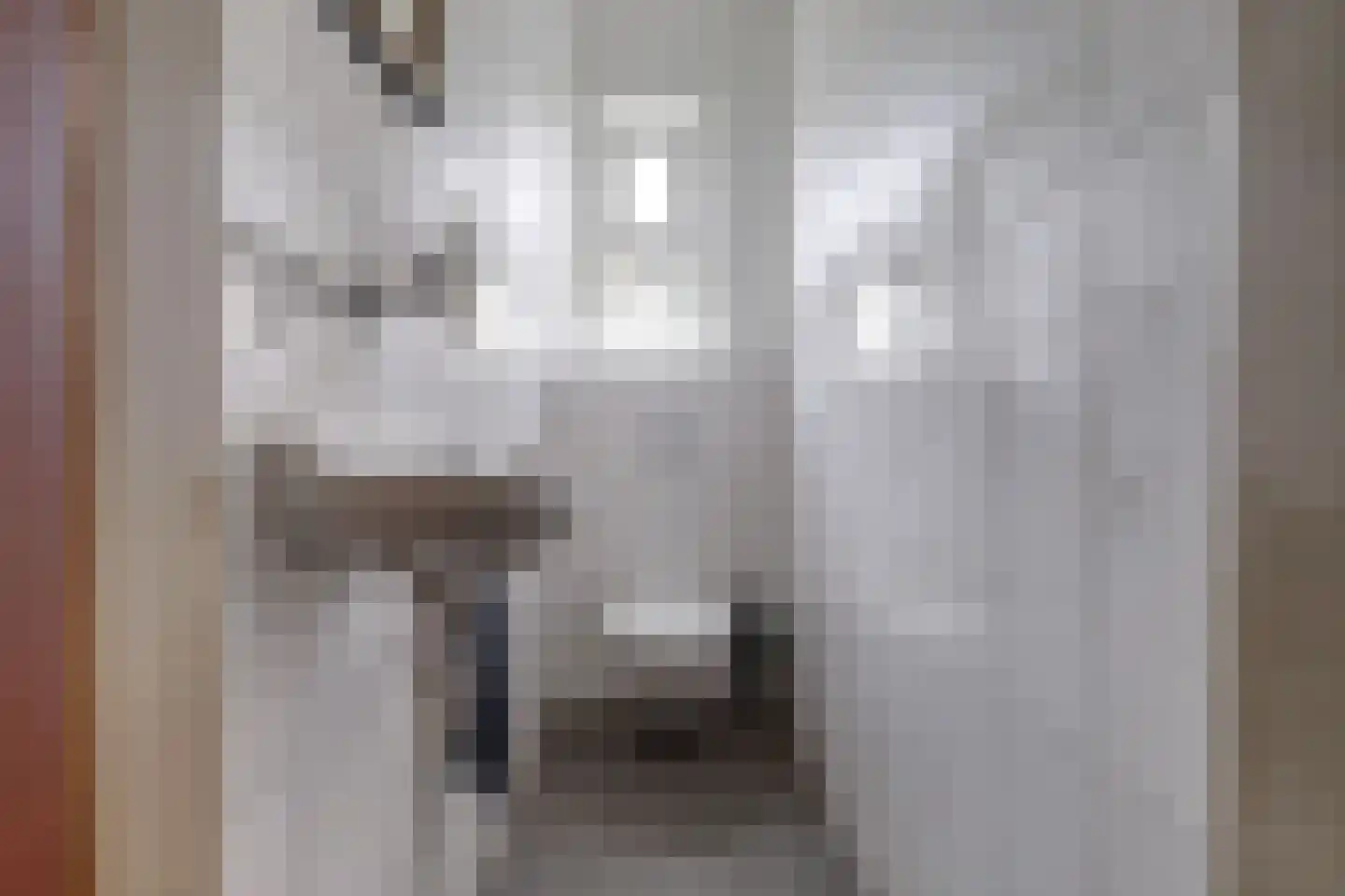 Hobbemastraat 5 Nijmegen thumbnail 9