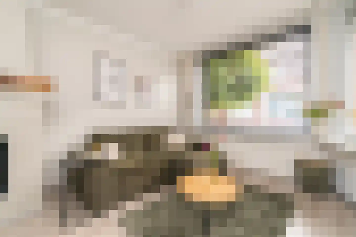 Hobbemastraat 5 Tilburg thumbnail 11