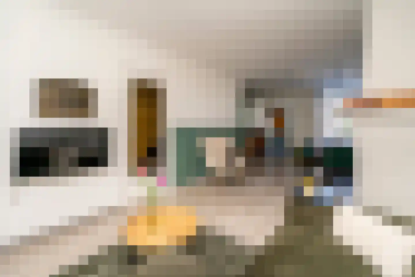Hobbemastraat 5 Tilburg thumbnail 13