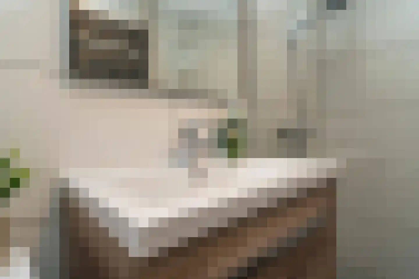 Hobbemastraat 5 Tilburg thumbnail 21