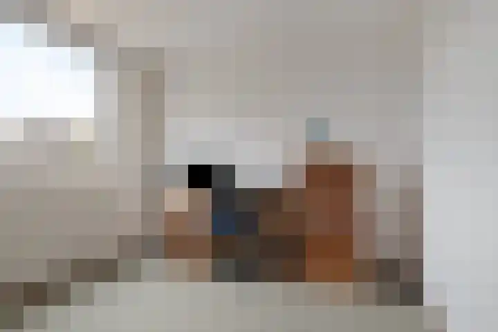 Hobbemastraat 50 Ede thumbnail 21