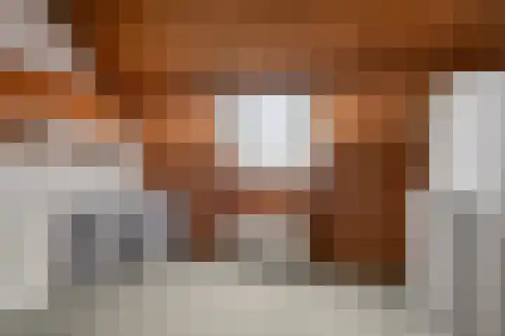 Hobbemastraat 50 Ede thumbnail 27