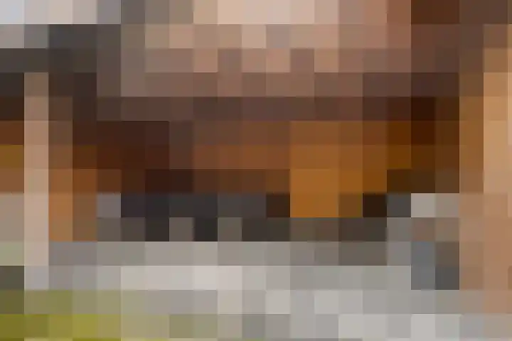 Hobbemastraat 50 Ede thumbnail 30