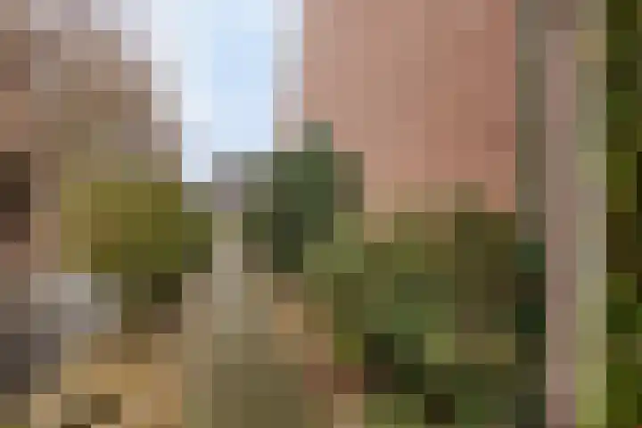 Hobbemastraat 50 Ede thumbnail 33
