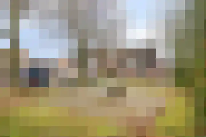 Hobbemastraat 50 Ede thumbnail 35