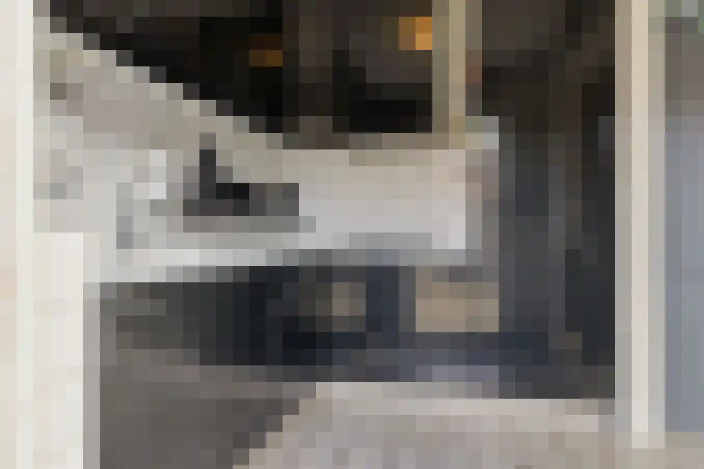 Hobbemastraat 6 Heemskerk thumbnail 11