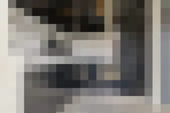 Hobbemastraat 6 Heemskerk thumbnail 11
