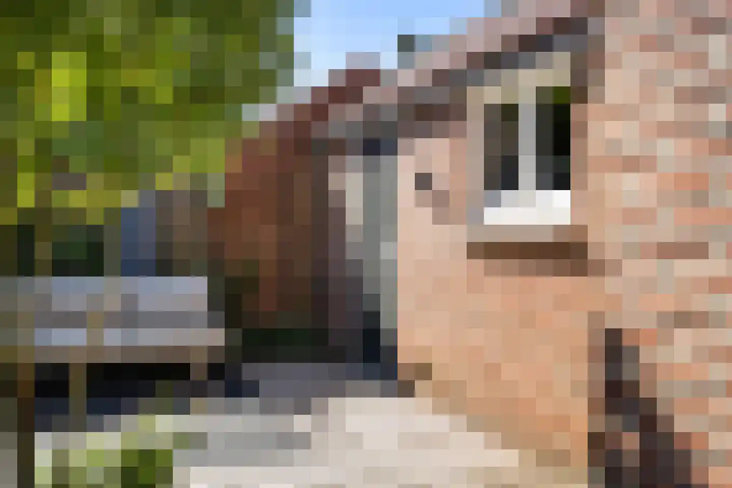 Hobbemastraat 65 Leeuwarden thumbnail 33