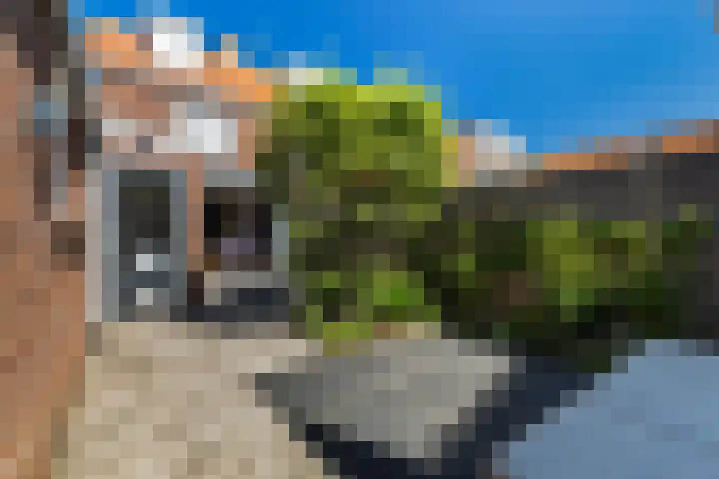 Hobbemastraat 65 Leeuwarden thumbnail 34