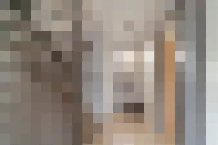 Hobbemastraat 7 Maassluis thumbnail 18