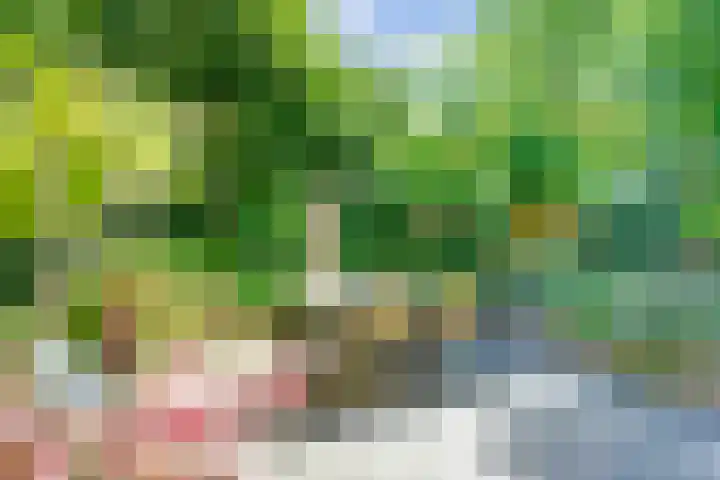 Hobbemastraat 8 Nijmegen thumbnail 4