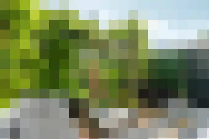 Hobbemastraat 9 Arnhem thumbnail 43
