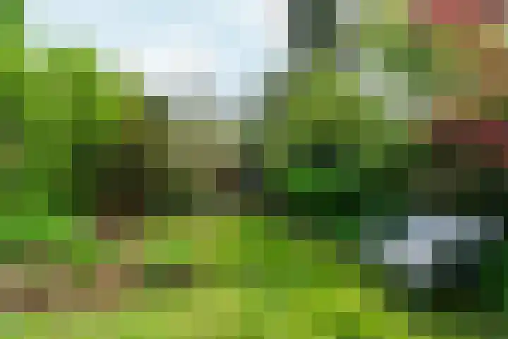 Hobbemastraat 9 Arnhem thumbnail 46