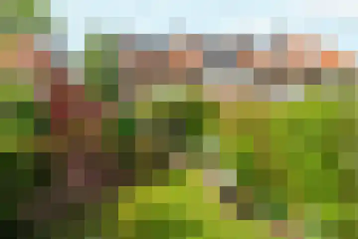 Hobbemastraat 9 Arnhem thumbnail 49
