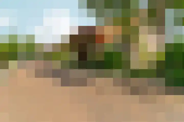 Hobbemastraat 9 Arnhem thumbnail 5