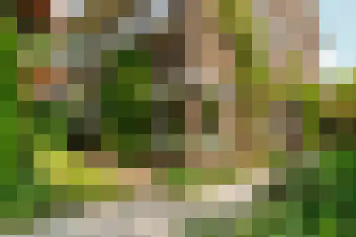 Hobbemastraat 9 Arnhem thumbnail 52