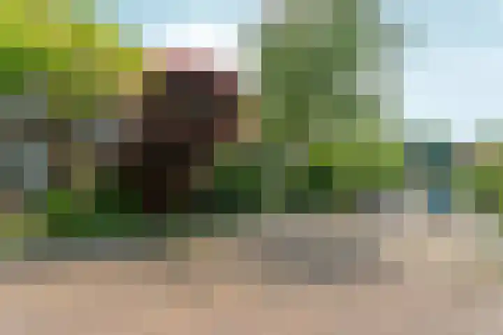 Hobbemastraat 9 Arnhem thumbnail 53