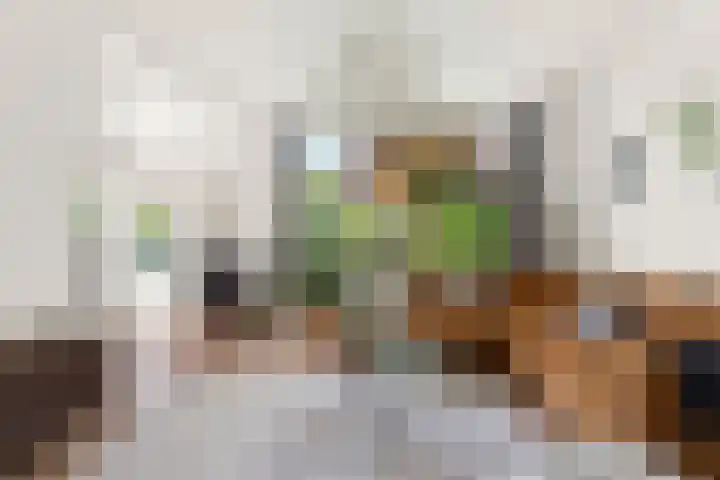Hobbemastraat 9 Arnhem thumbnail 9