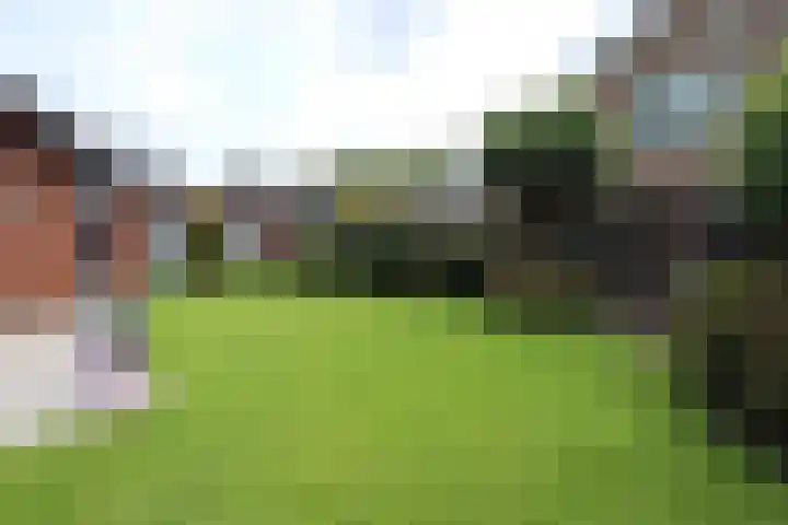 Hobbemaweg 115 Groesbeek thumbnail 10