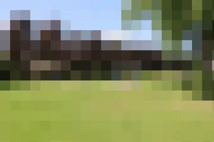 Hobbemaweg 115 Groesbeek thumbnail 13