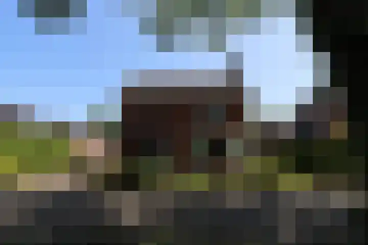 Hobbemaweg 115 Groesbeek thumbnail 5