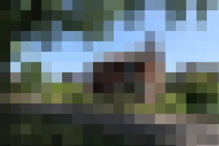 Hobbemaweg 115 Groesbeek thumbnail 6