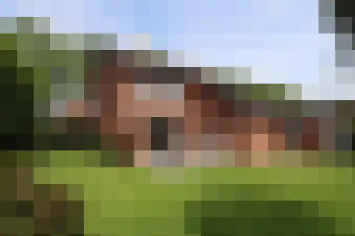Hobbemaweg 115 Groesbeek thumbnail 8