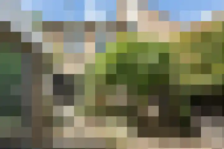 Hobbemaweg 29 Groesbeek thumbnail 37