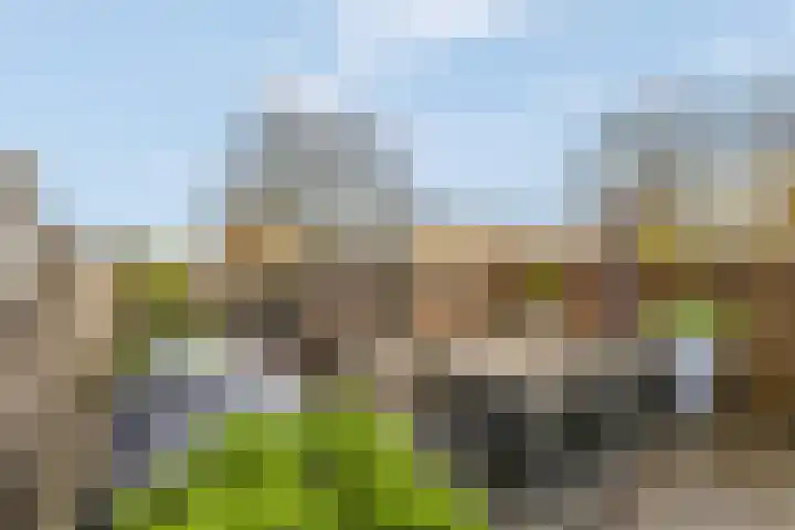 Hobbemaweg 39 Groesbeek thumbnail 37