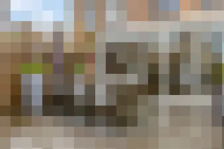 Hobbemaweg 39 Groesbeek thumbnail 39