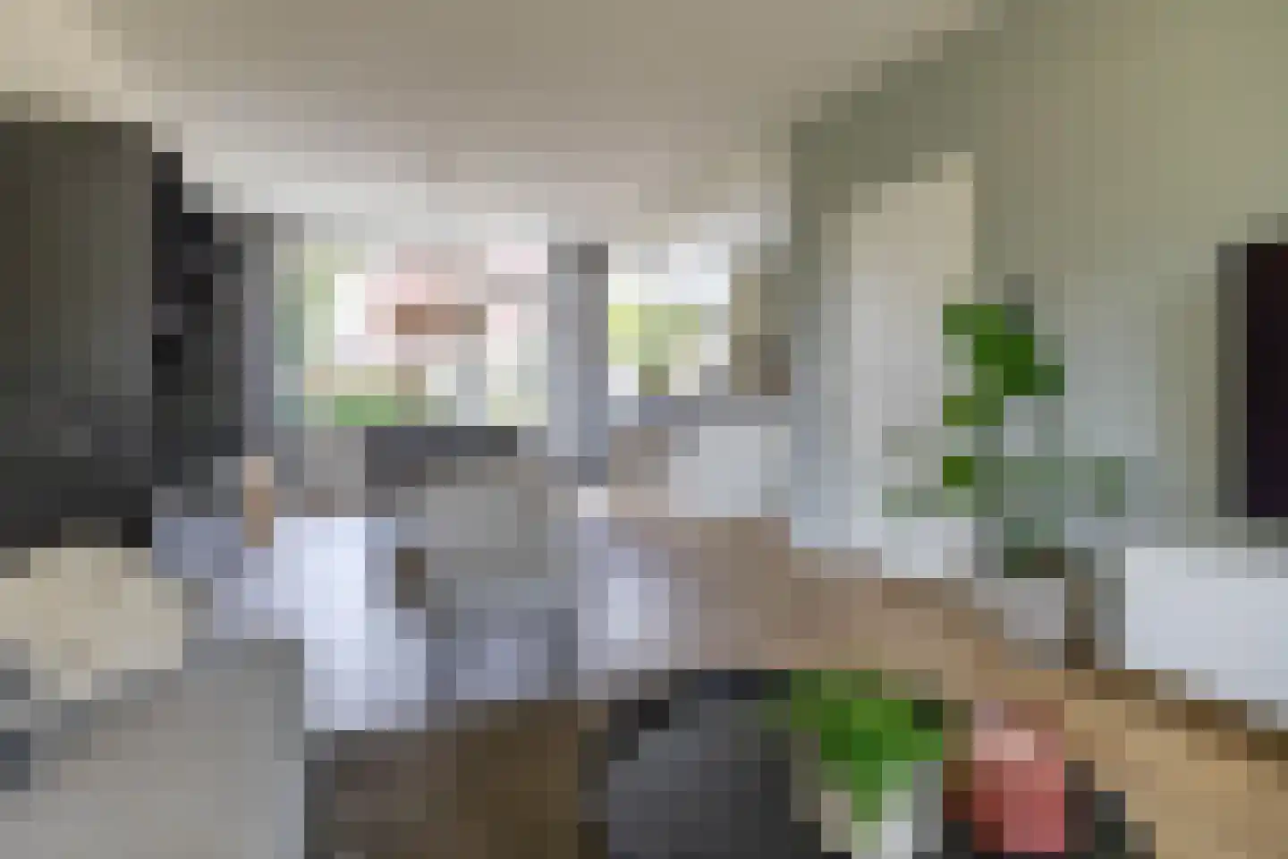 Hobbemaweg 4 Eelde thumbnail 13