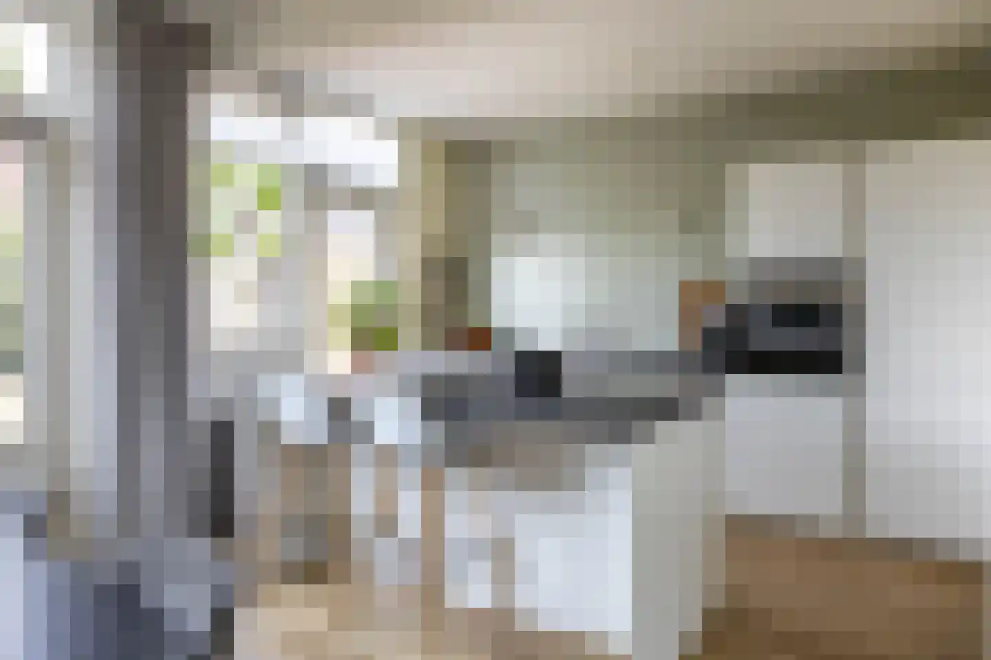 Hobbemaweg 4 Eelde thumbnail 15