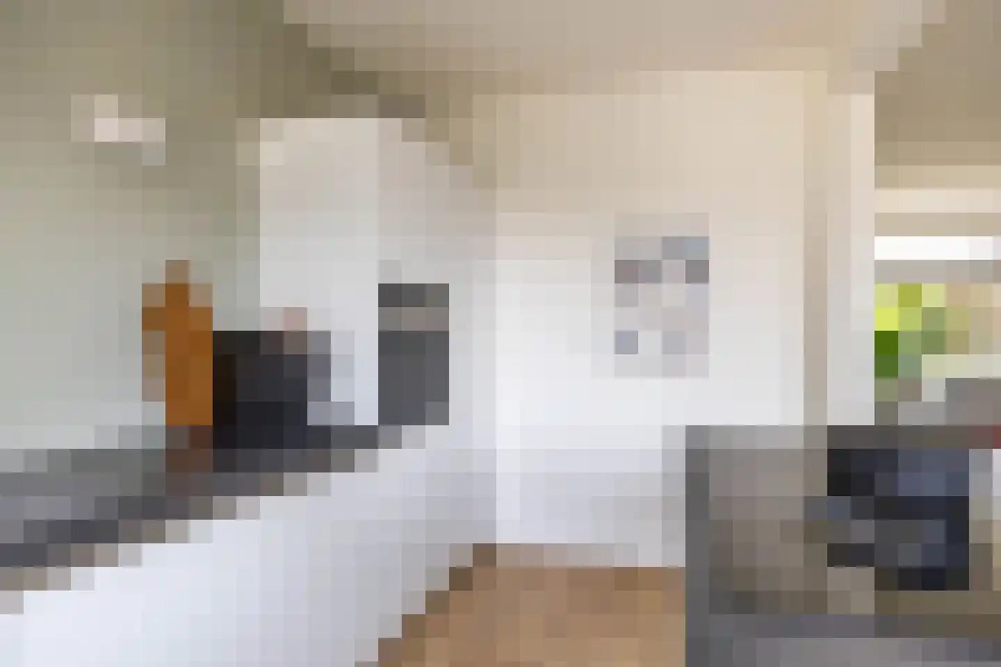 Hobbemaweg 4 Eelde thumbnail 17
