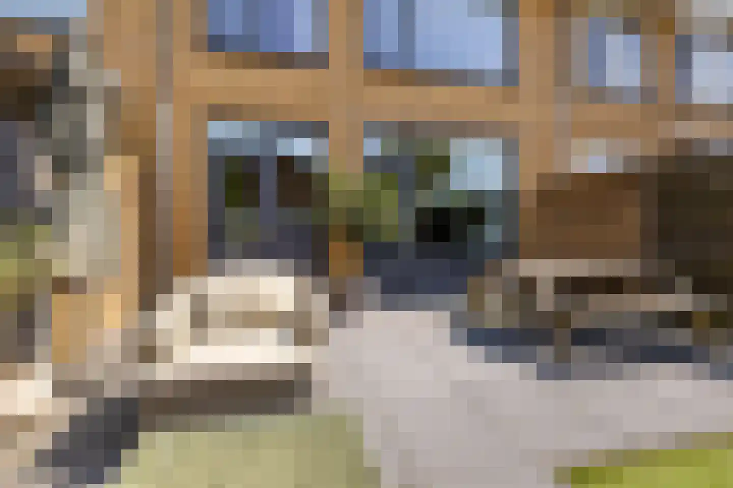 Hobbemaweg 4 Eelde thumbnail 22