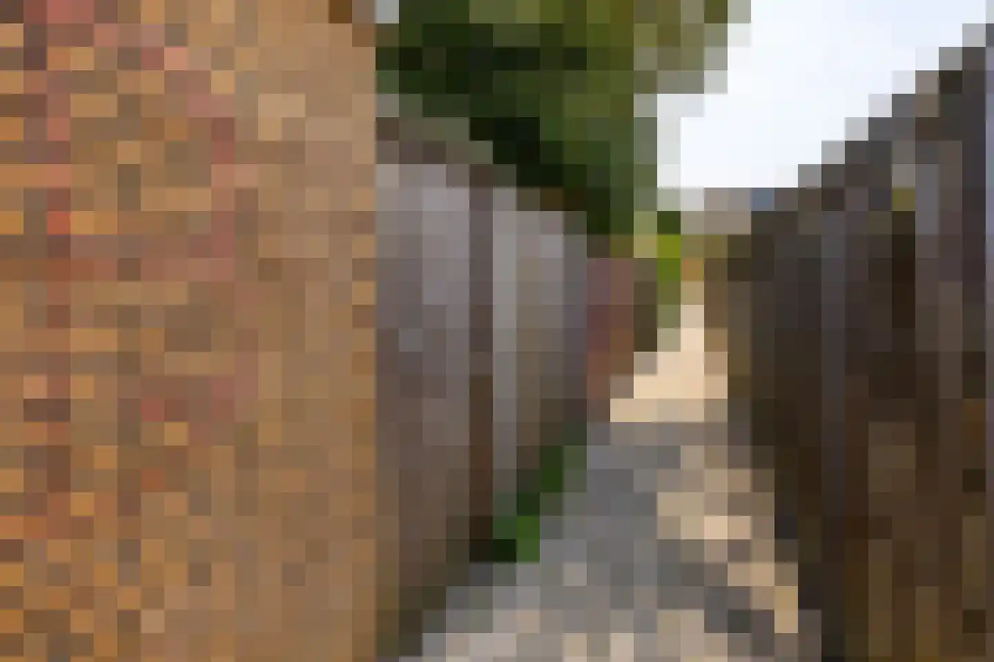 Hobbemaweg 4 Eelde thumbnail 24