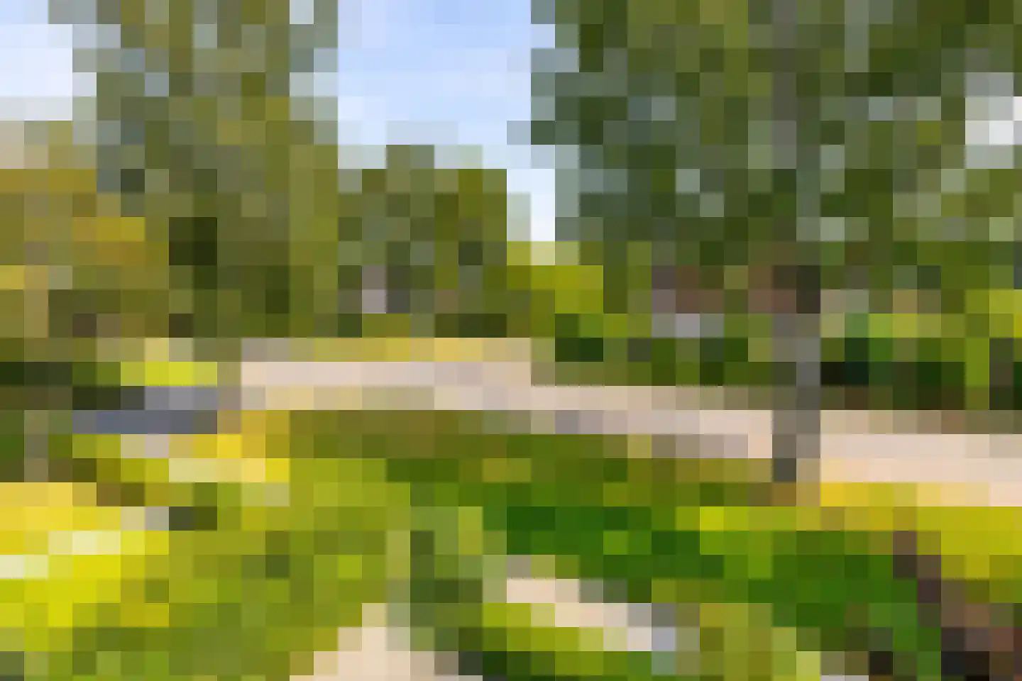 Hobbemaweg 4 Eelde thumbnail 39