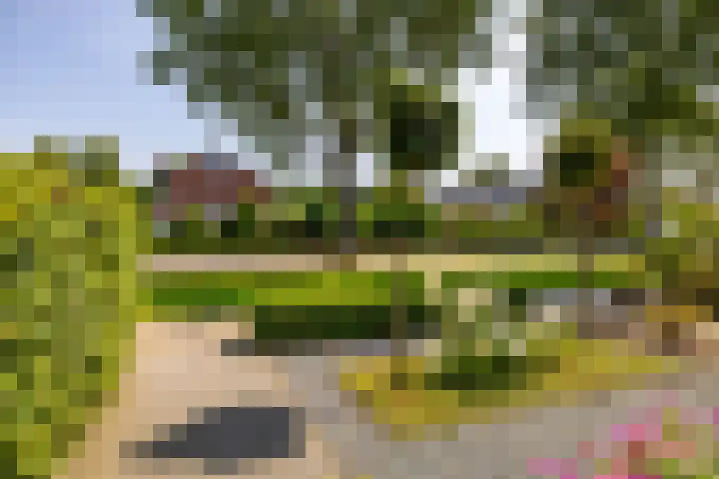 Hobbemaweg 4 Eelde thumbnail 6