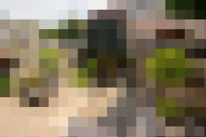 Hobbemaweg 5 Groesbeek thumbnail 34