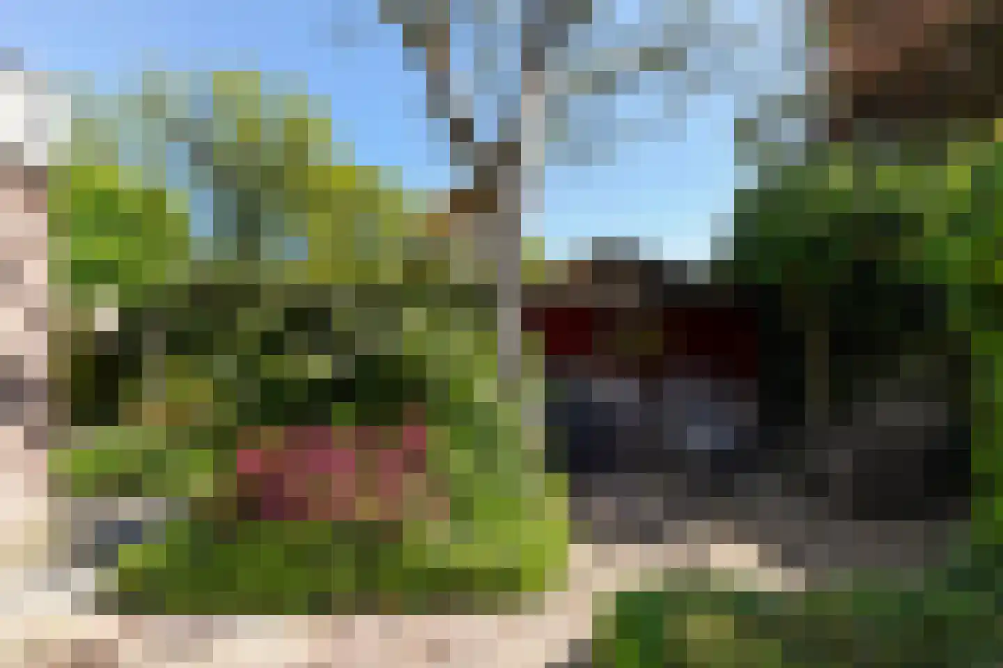 Hobbendonkseweg 20 Boxtel thumbnail 40