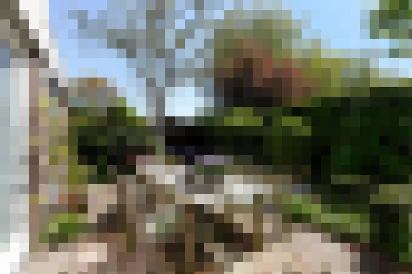 Hobbendonkseweg 20 Boxtel thumbnail 42