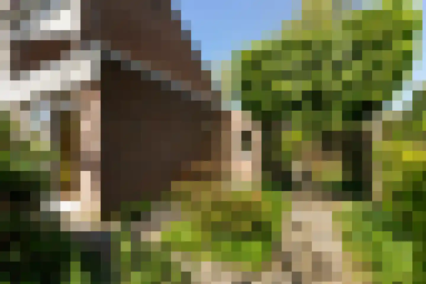 Hobbendonkseweg 20 Boxtel thumbnail 45