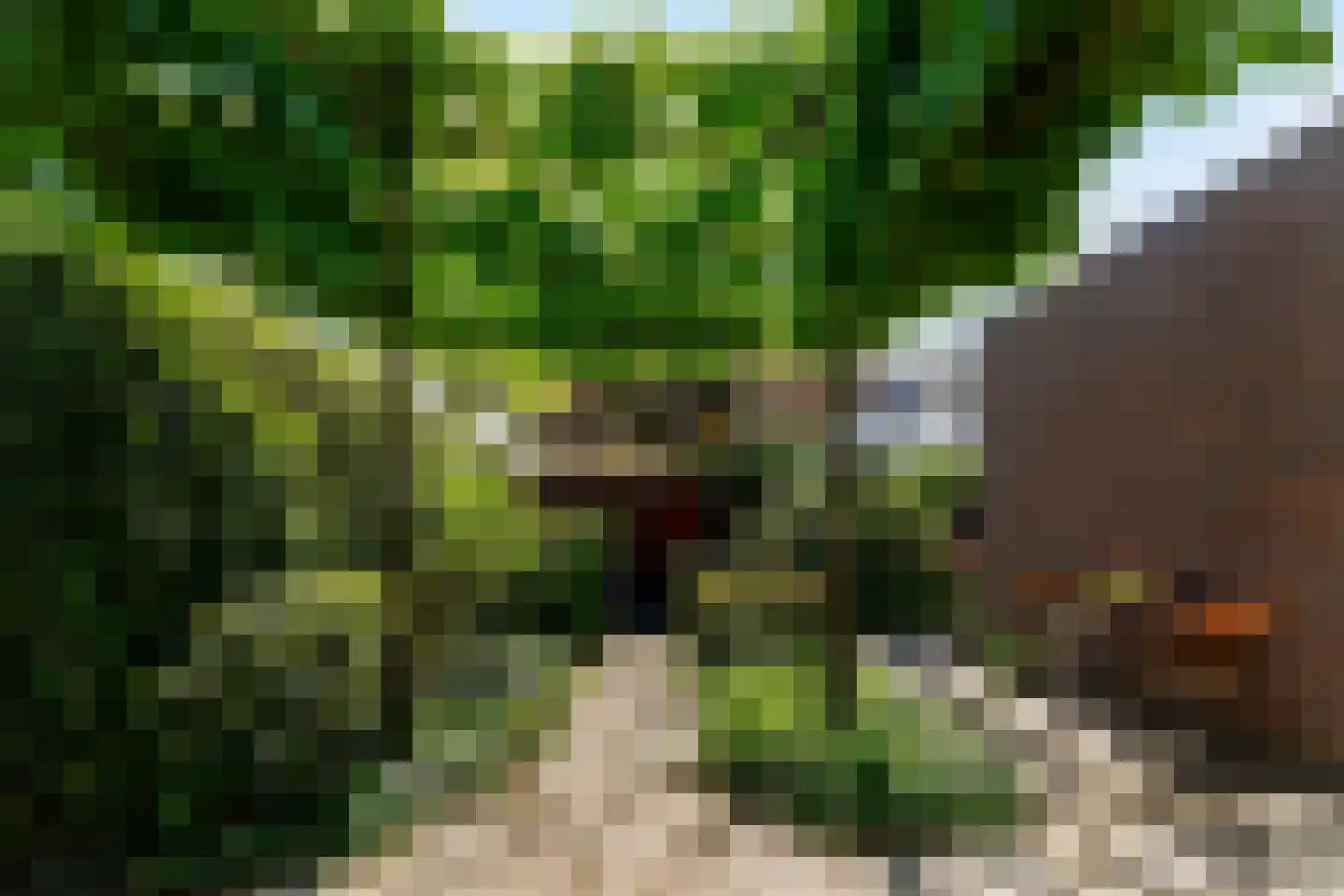 Hobbendonkseweg 20 Boxtel thumbnail 47