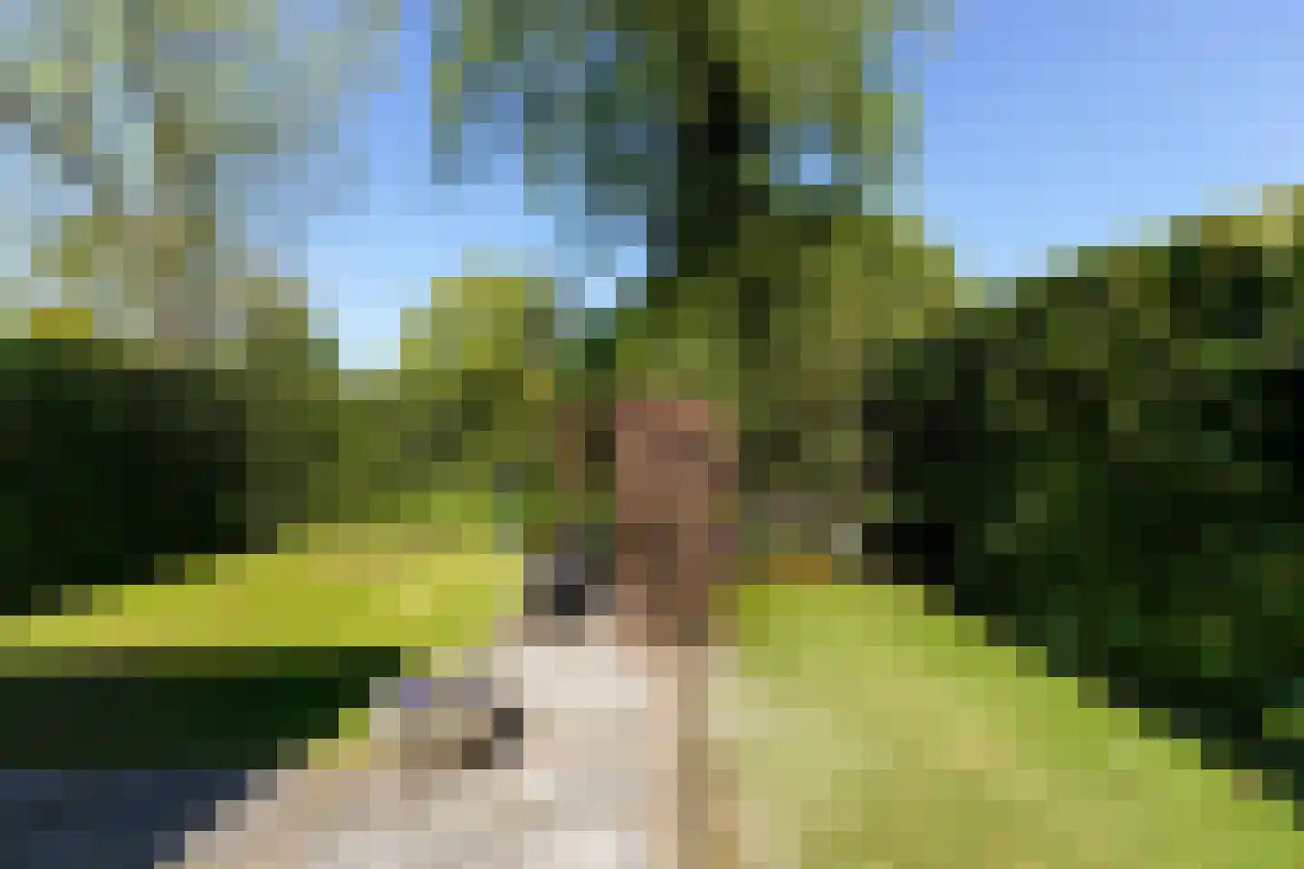 Hobbendonkseweg 20 Boxtel thumbnail 48
